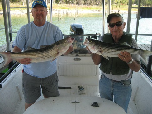 Nice Striped Bass
